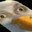 czysty0