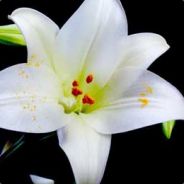 别打我，不会玩