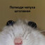 Нытик