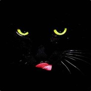 不羡鸳鸯不羡仙