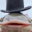 The Original Fish