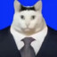 AAA猫粮专卖万哥