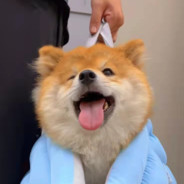 后宫之主本在人心