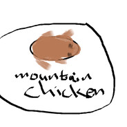 Mountain Chicken