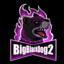 Bigblackdog2