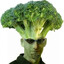 Brocolli