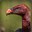 Grim Vulture