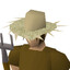 plooky (howdy)
