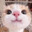 miau