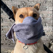 木叶村第一突破手柱间