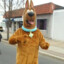 Scooby Doo