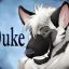 Duke Hyena