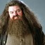 Rubeus Hagrid