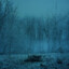 THE-FORGOTTEN