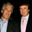 jeffrey epstein did nothing