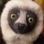 Zoboomafoo