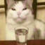 Miadan