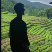 十日连阴雨一朝遇晚晴