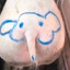 Bunda de Elefante