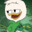 Louie Duck