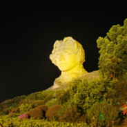 除了打游戏就没别的了