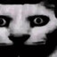 Enlightenedrat