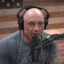 Joe Rogan