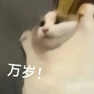 风筝猫喵