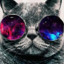 www.twitch.tv/integro13