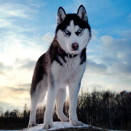 让我悄喵的刀一下