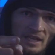insegnante