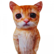 Кошечка Писечка