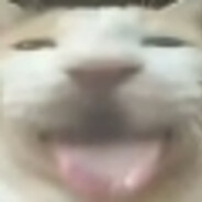 玩家头像