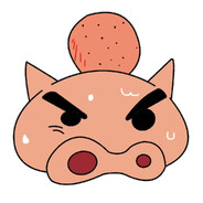 国家不保护废物