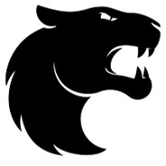 XML - steam id 76561199241209528