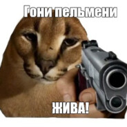 FඩLසOඉPකPපA