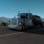 TruckerLoneStar