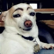 狗老弟
