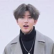 云想衣裳花想容