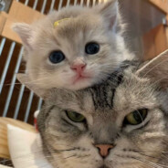 你这样迟早被仙人跳