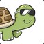 Yurtle_Murtle