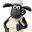 Shaun carneiro