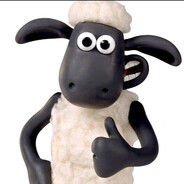 Shaun carneiro