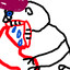 jon arbučkle's avatar