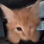 BruceWang