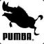 Pumba