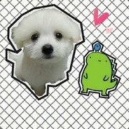 喵了个咪哔哔哔