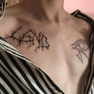 ярик сила брзд