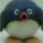 Pengi1