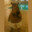 Equino de SKINS Veranísticas